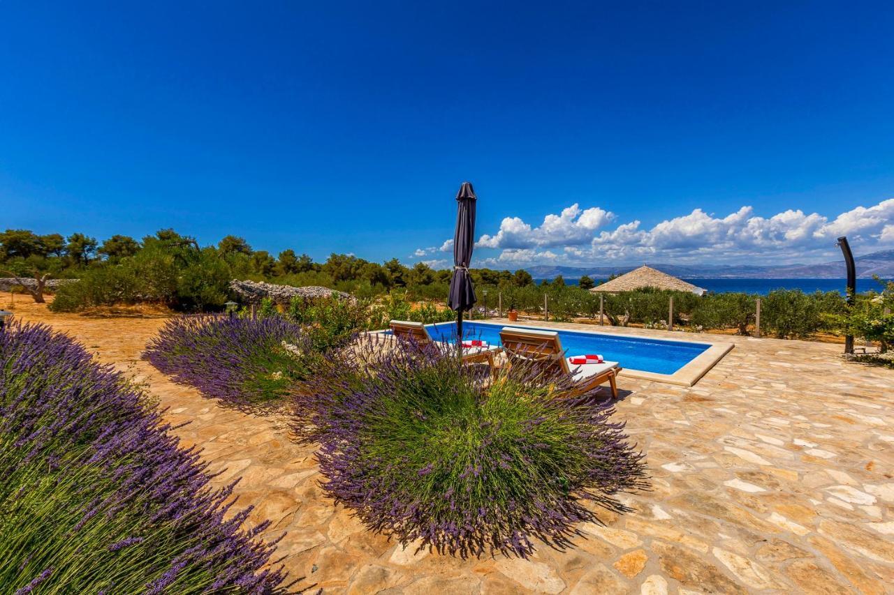 סופטאר Magical Island Home מראה חיצוני תמונה